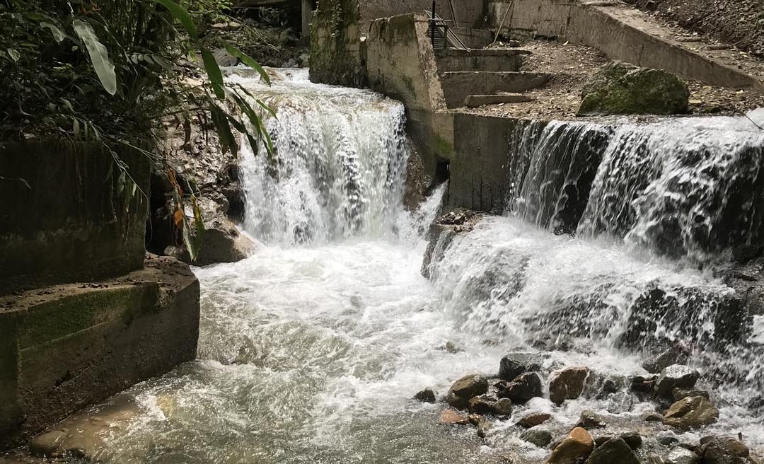 Dia del agua